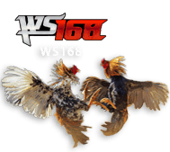 ws168 SIAP4D